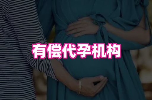 61助孕网 4